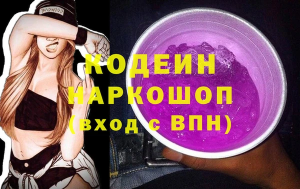винт Инта