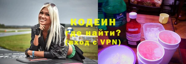 винт Инта