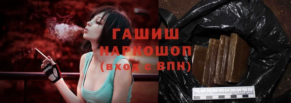 винт Инта