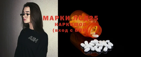 крисы Ессентукская