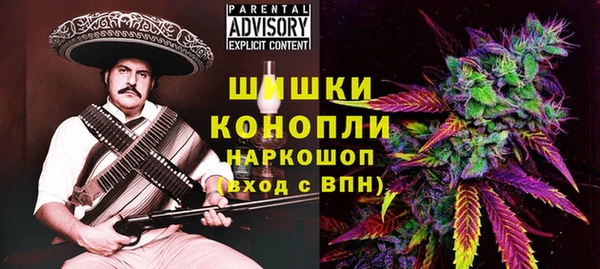 винт Инта