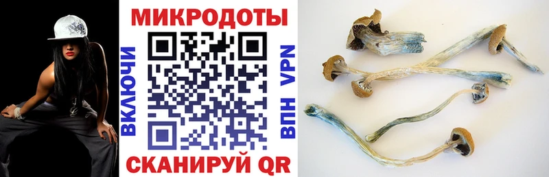 Псилоцибиновые грибы мухоморы  мориарти какой сайт  Шлиссельбург 