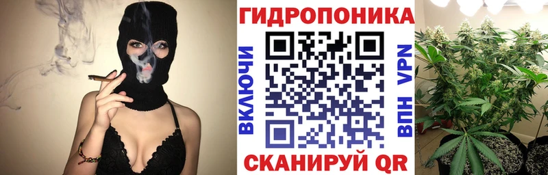 Марихуана гибрид  Шлиссельбург 